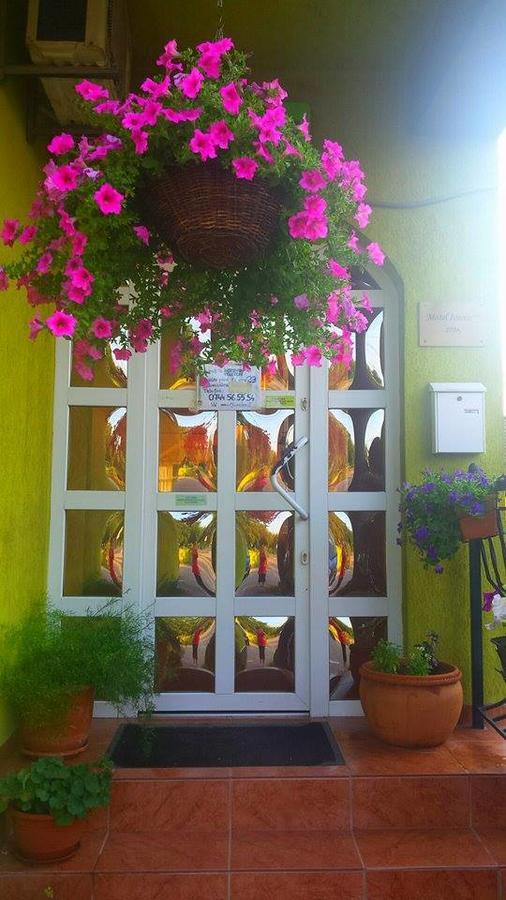 Mîndruloc Motel Ioanis المظهر الخارجي الصورة